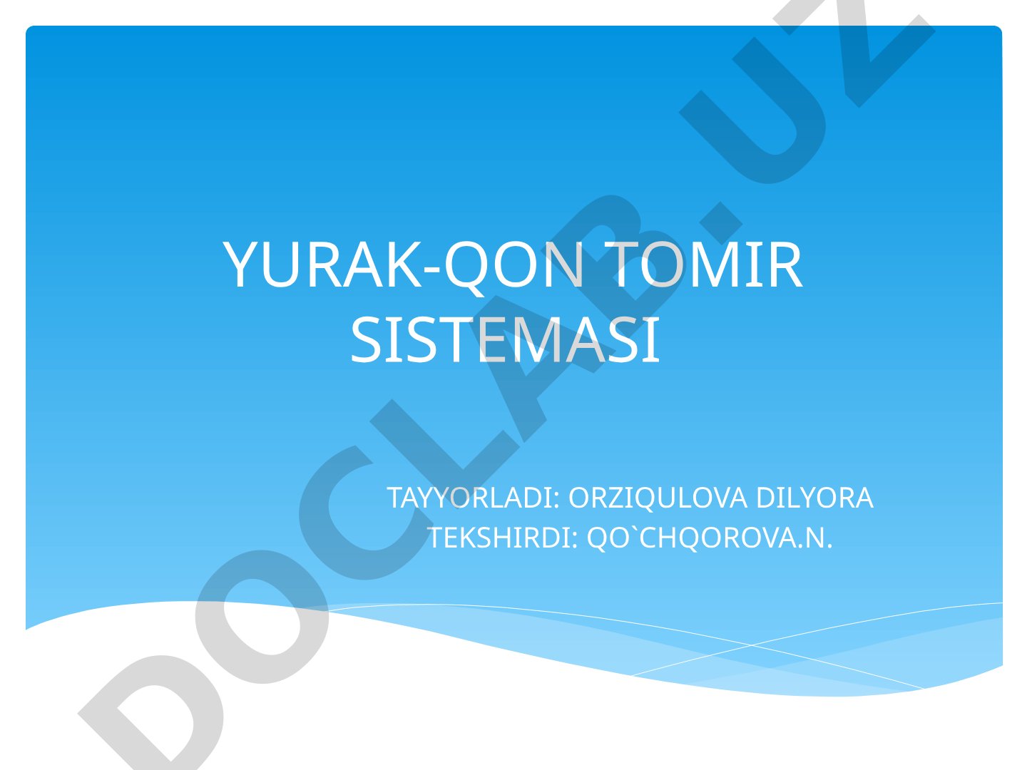 Yurak-qon tomir sistemasi