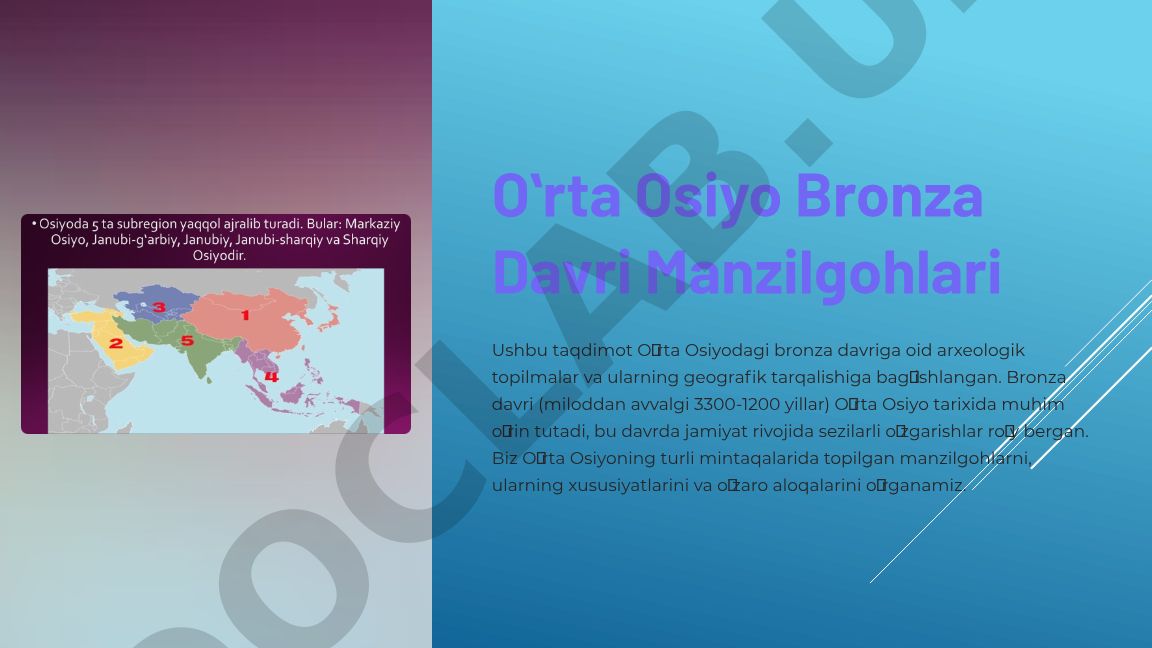 Oʻrta Osiyo Bronza Davri Manzilgohlari