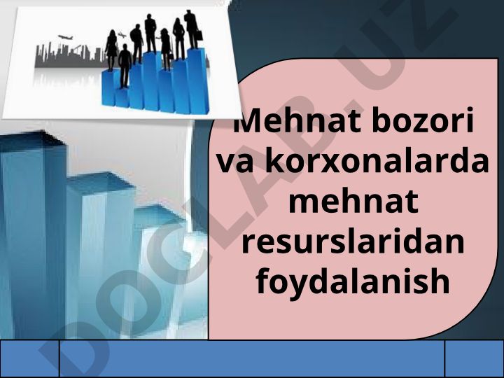 Mehnat bozori va korxonalarda mehnat resurslaridan foydalanish