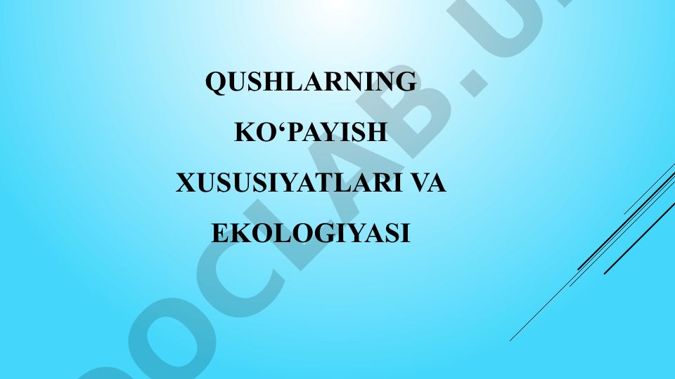 Qushlarning ko'payish xususiyatlari va ekologiyasi