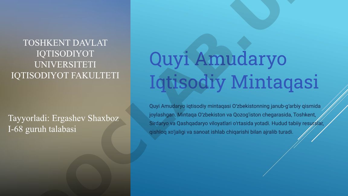 Quyi Amudaryo Iqtisodiy Mintaqasi