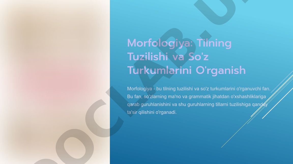 Morfologiya: Tilning Tuzilishi va So'z Turkumlarini O'rganish