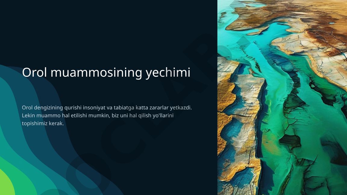 Orol muammosining yechimi va Orolbo'yi mintaqasini tiklash