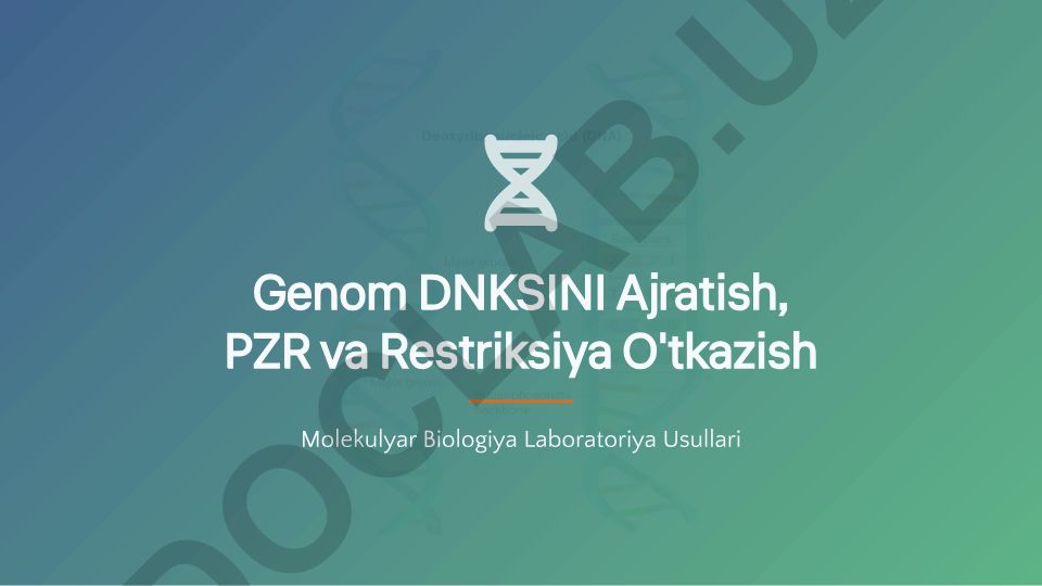 Genom DNK ajratish, PZR va restriksiya o'tkazish molekulyar biologiya laboratoriya usullari