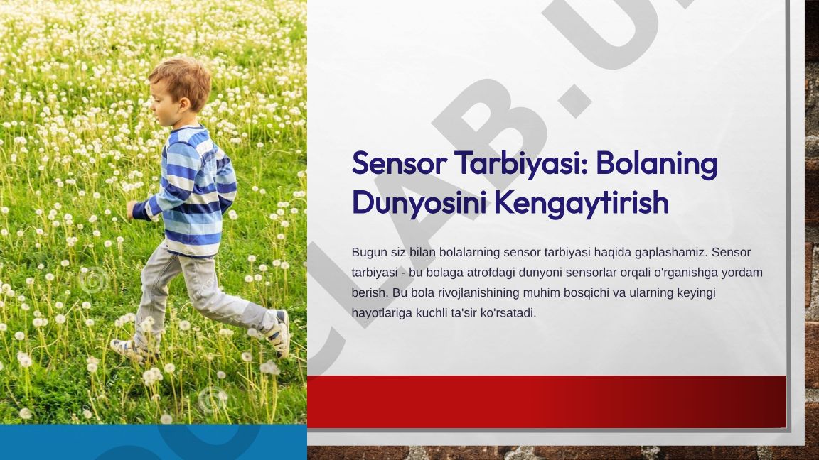 Sensor Tarbiyasi: Bolaning Dunyosini Kengaytirish
