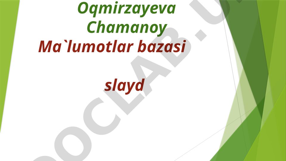 Ekspert tizimlari va ularning qo'llanilishi