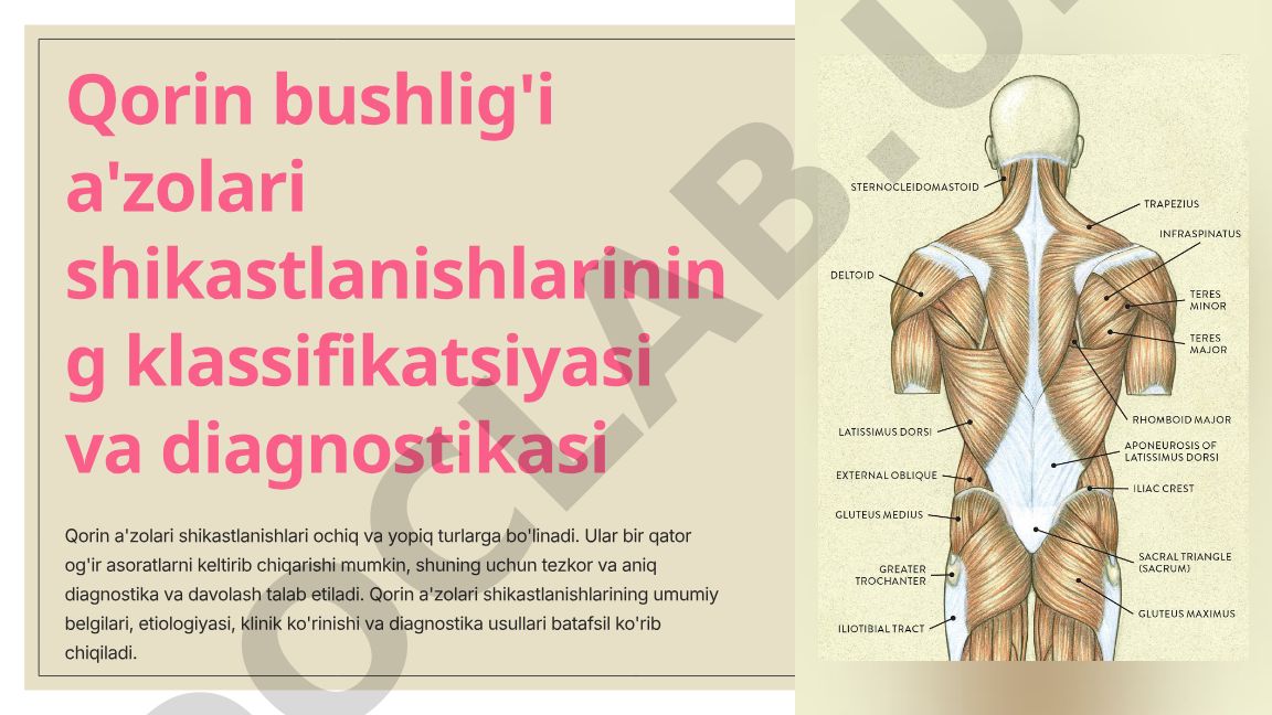 Qorin bushlig'i a'zolari shikastlanishlarining klassifikatsiyasi va diagnostikasi