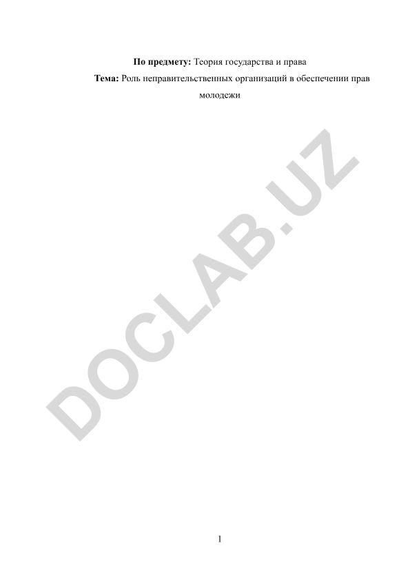 Роль неправительственных организаций в обеспечении прав молодежи