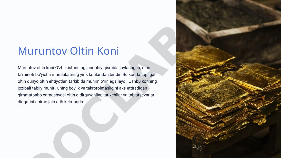 Muruntov oltin koni: geologik tavsif va xomashyo sifati