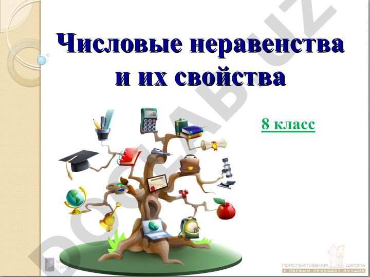 Числовые неравенства и их свойства
