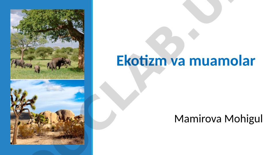 Ekotizm va muammolar
