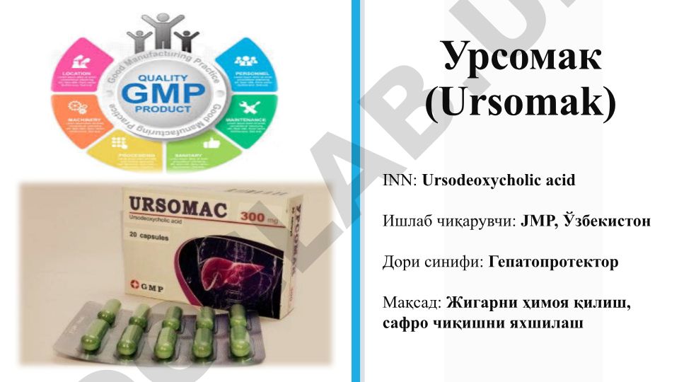 Урсомак (Урсодеоксихолиевая кислота) - гепатопротектор