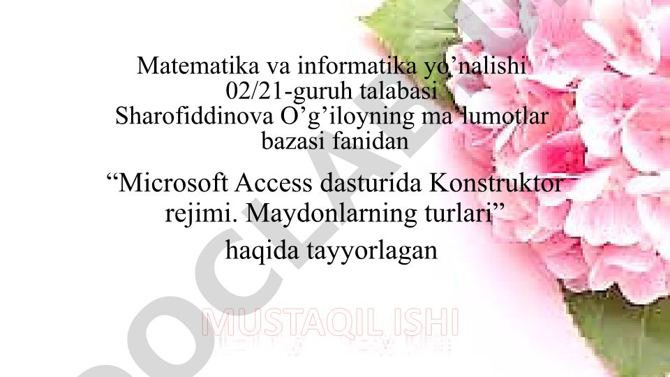 Microsoft Access dasturida Konstruktor rejimi. Maydonlarning turlari