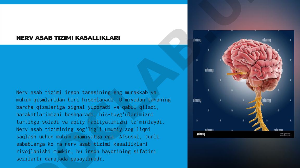 Nerv asab tizimi kasalliklari