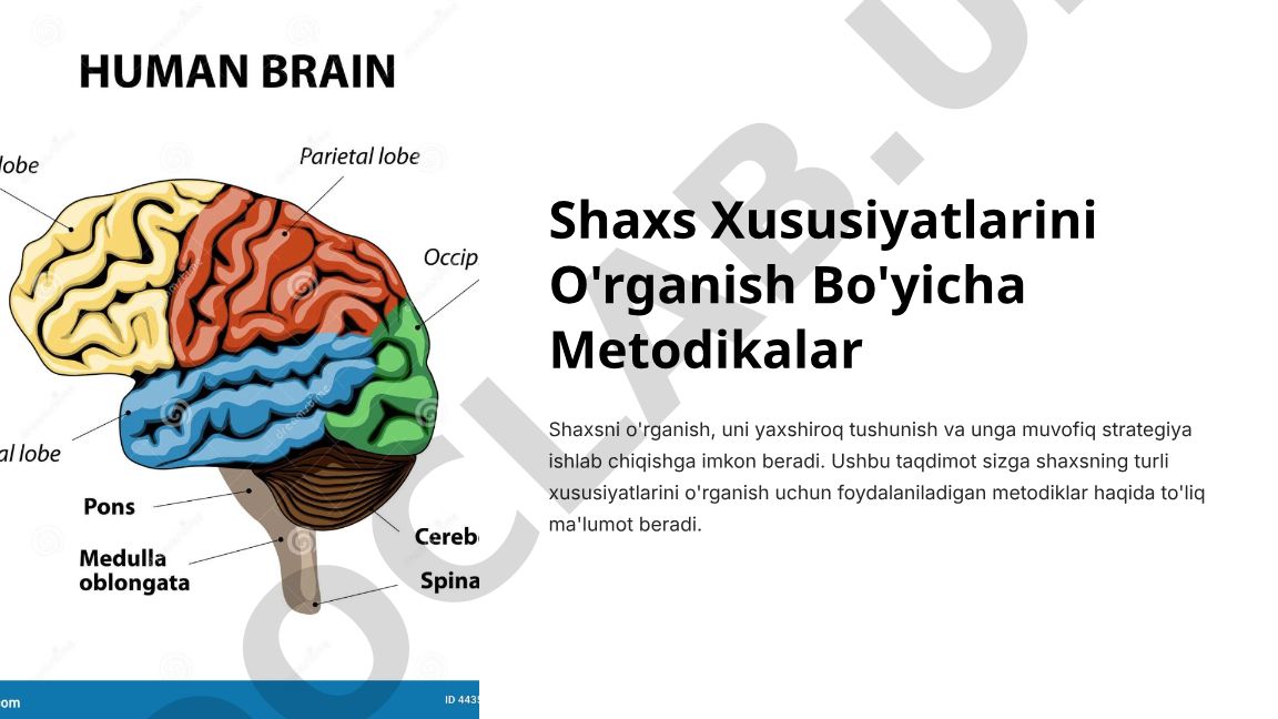 Shaxs Xususiyatlarini O'rganish Bo'yicha Metodikalar