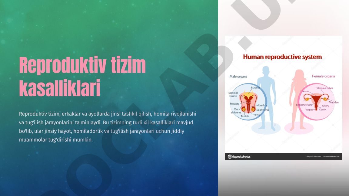 Reproduktiv tizim kasalliklari