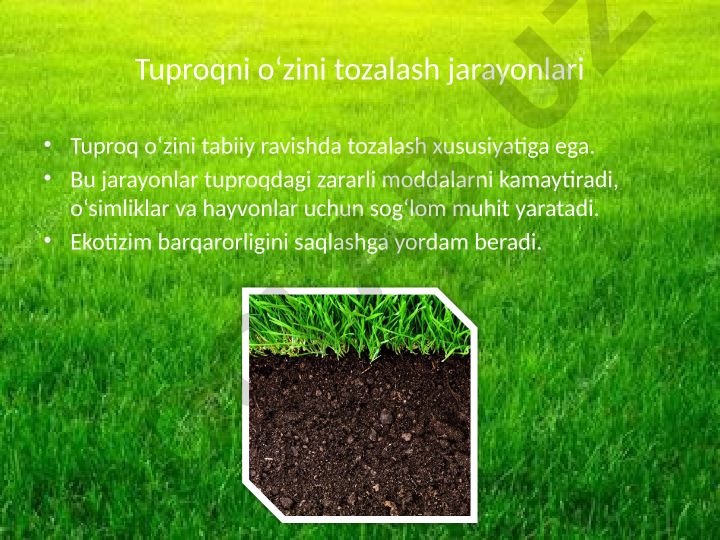Tuproqni o‘zini tozalash jarayonlari