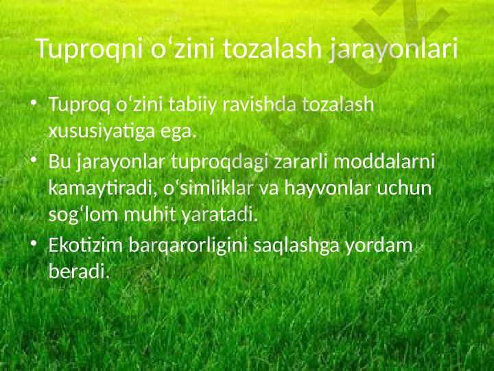Tuproqni o'zini tozalash jarayonlari