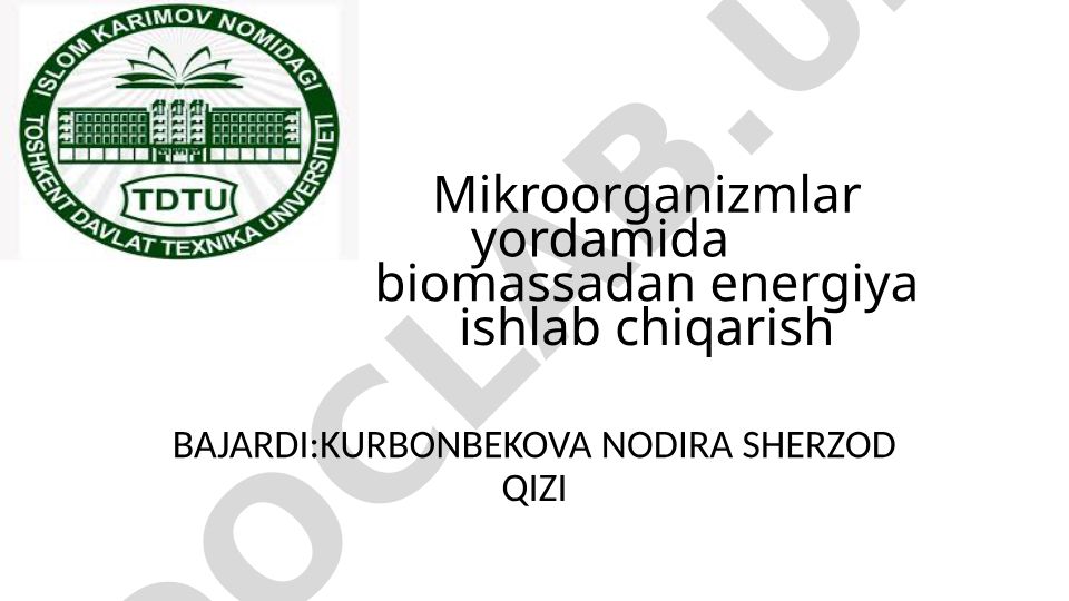 Mikroorganizmlar yordamida biomassadan energiya ishlab chiqarish