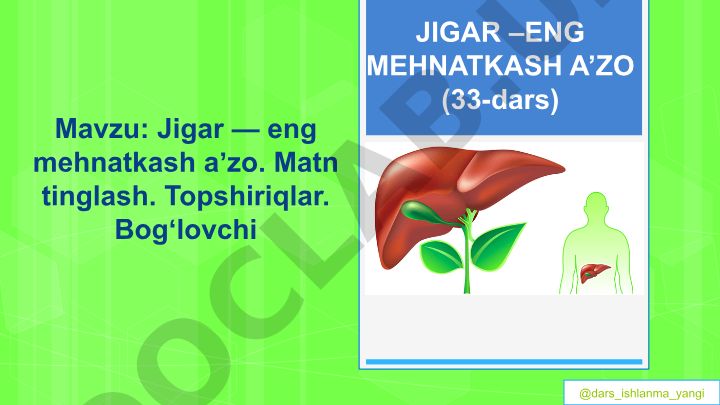 Jigar — eng mehnatkash aʼzo