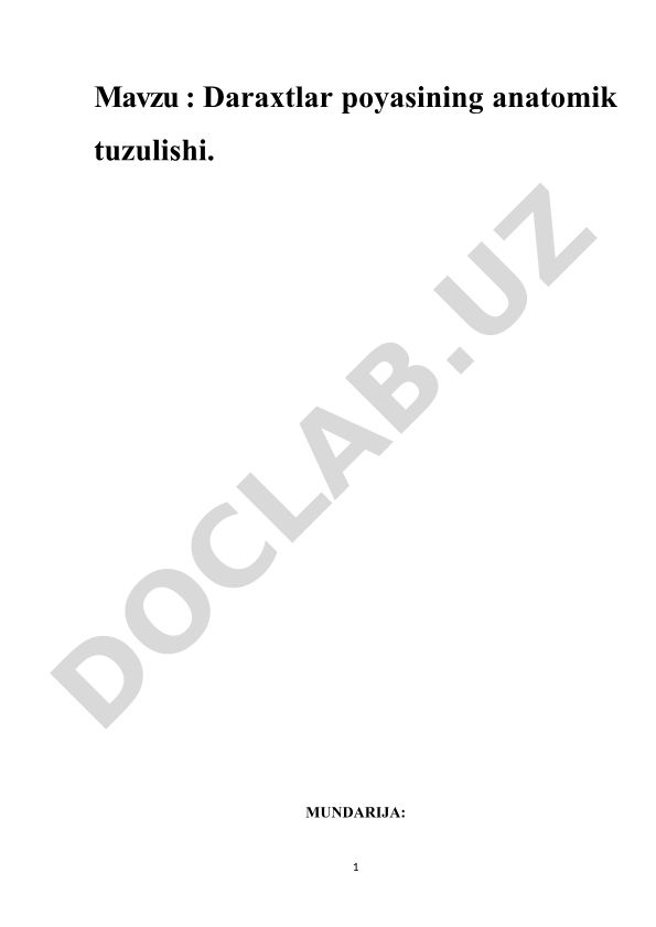 Daraxtlar poyasining anatomik tuzulishi