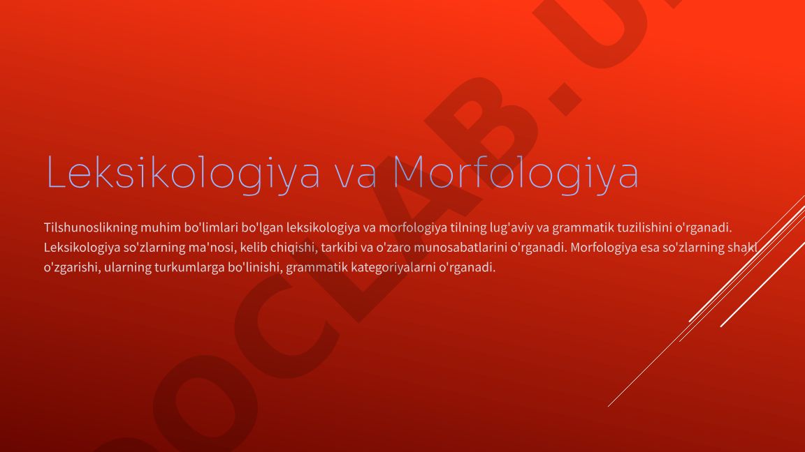 Leksikologiya va morfologiya: tilshunoslikning muhim bo'limlari