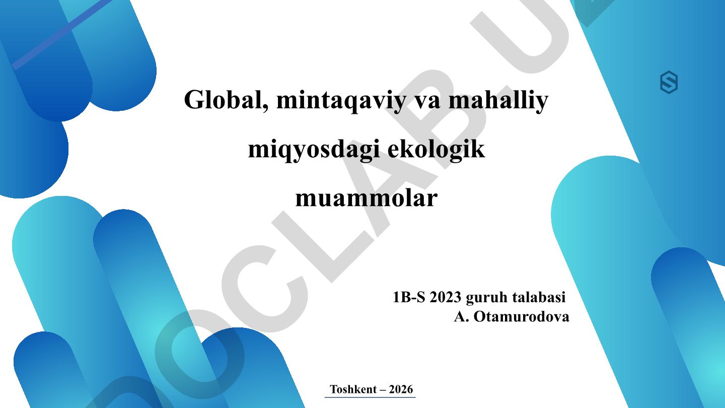 Global, mintaqaviy va mahalliy miqyosdagi ekologik muammolar