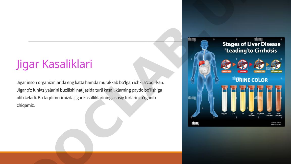 Jigar kasalliklarining asosiy turlari va ularning sabablari