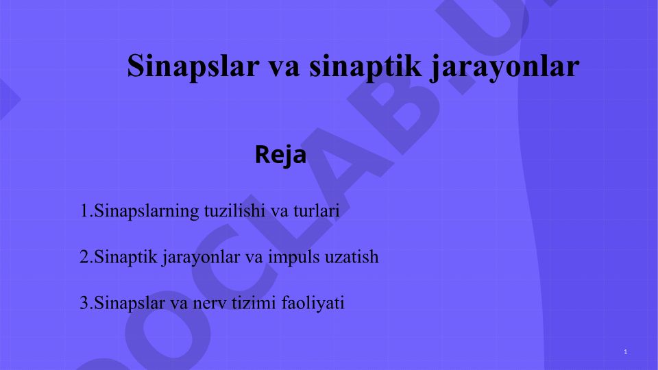 Sinapslar va sinaptik jarayonlar