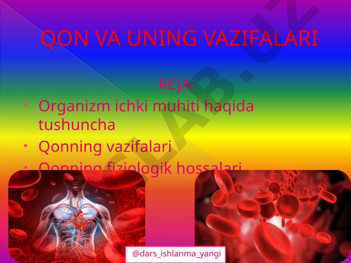 Qon va uning vazifalari