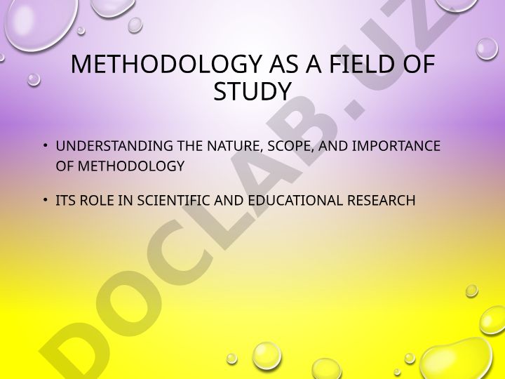 Methodology as a Field of Study