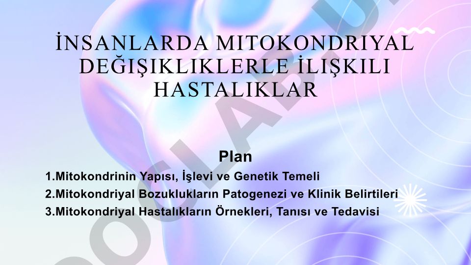 İnsanlarda Mitokondriyal Değişikliklerle İlişkili Hastalıklar