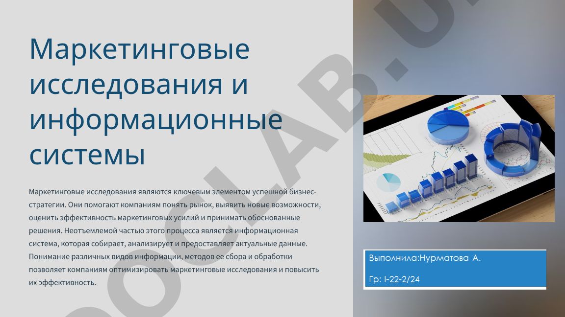 Маркетинговые исследования и информационные системы