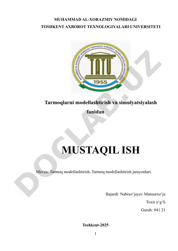 Tarmoq modellashtirish. Tarmoq modellashtirish jarayonlari