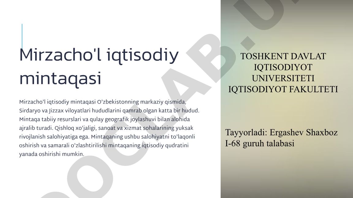 Mirzacho'l iqtisodiy mintaqasining geografik joylashuvi va tabiiy resurslari