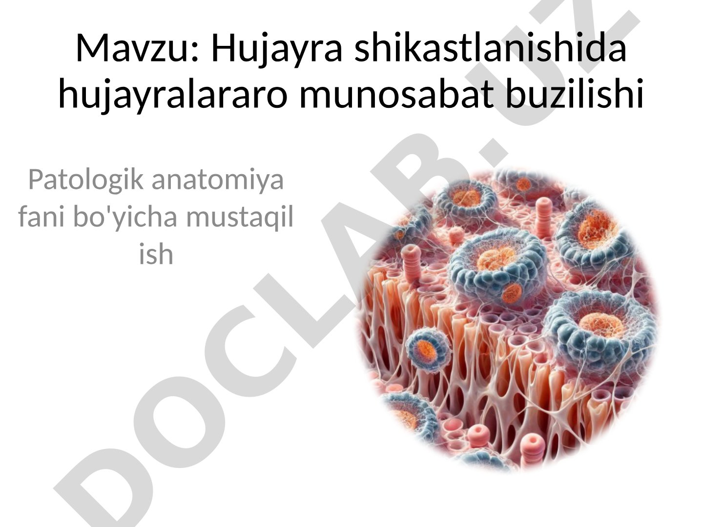 Hujayra shikastlanishida hujayralararo munosabat buzilishi