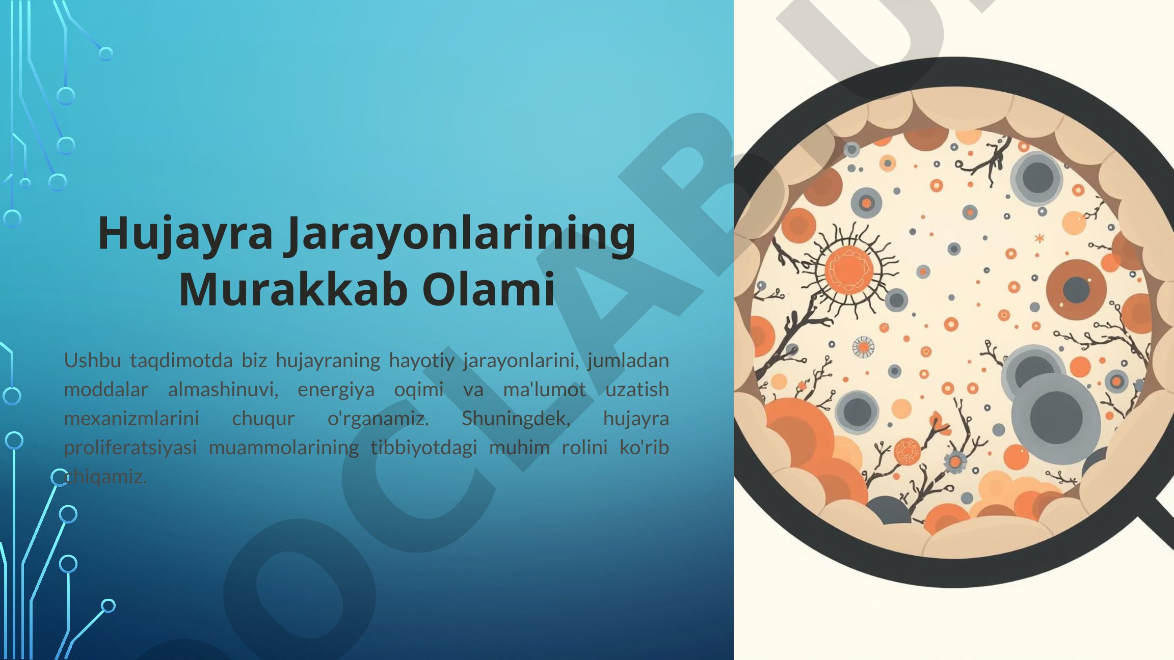 Hujayra Jarayonlarining Murakkab Olami