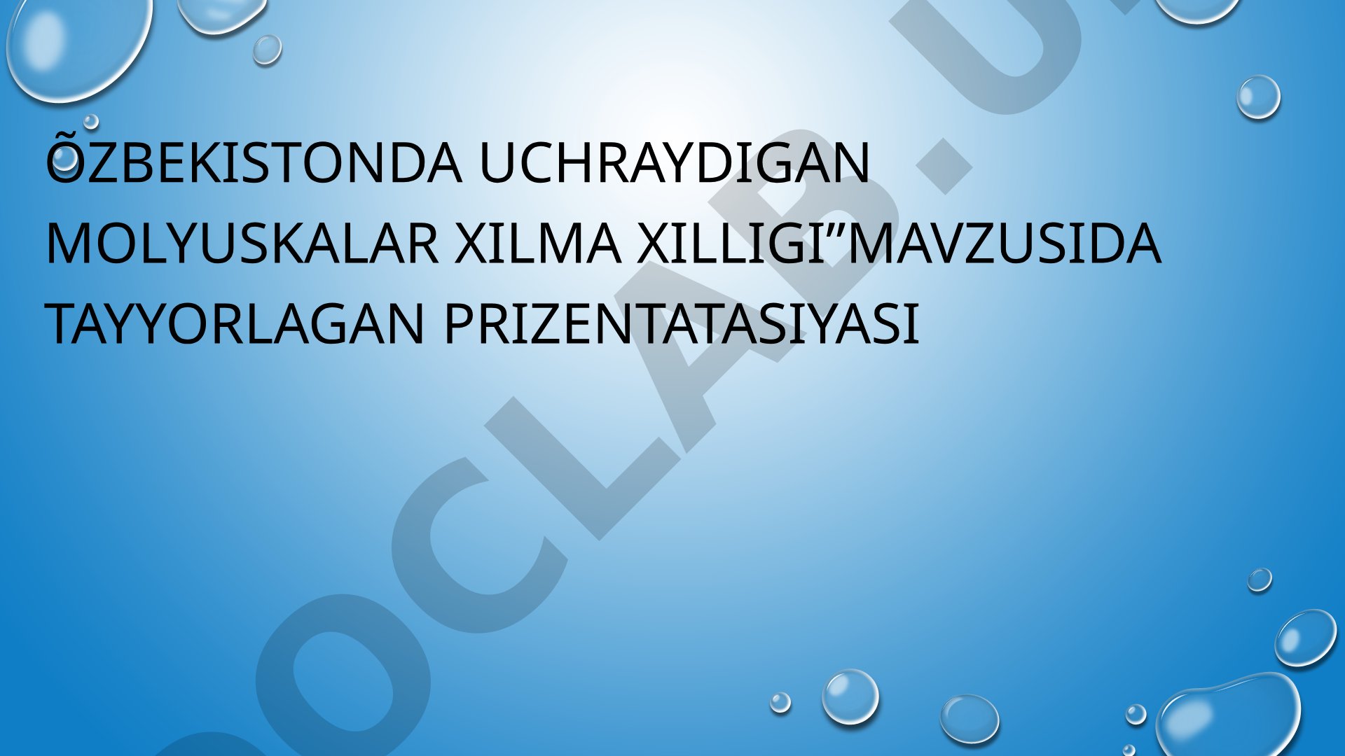 O'zbekistonda uchraydigan molyuskalar xilma-xilligi