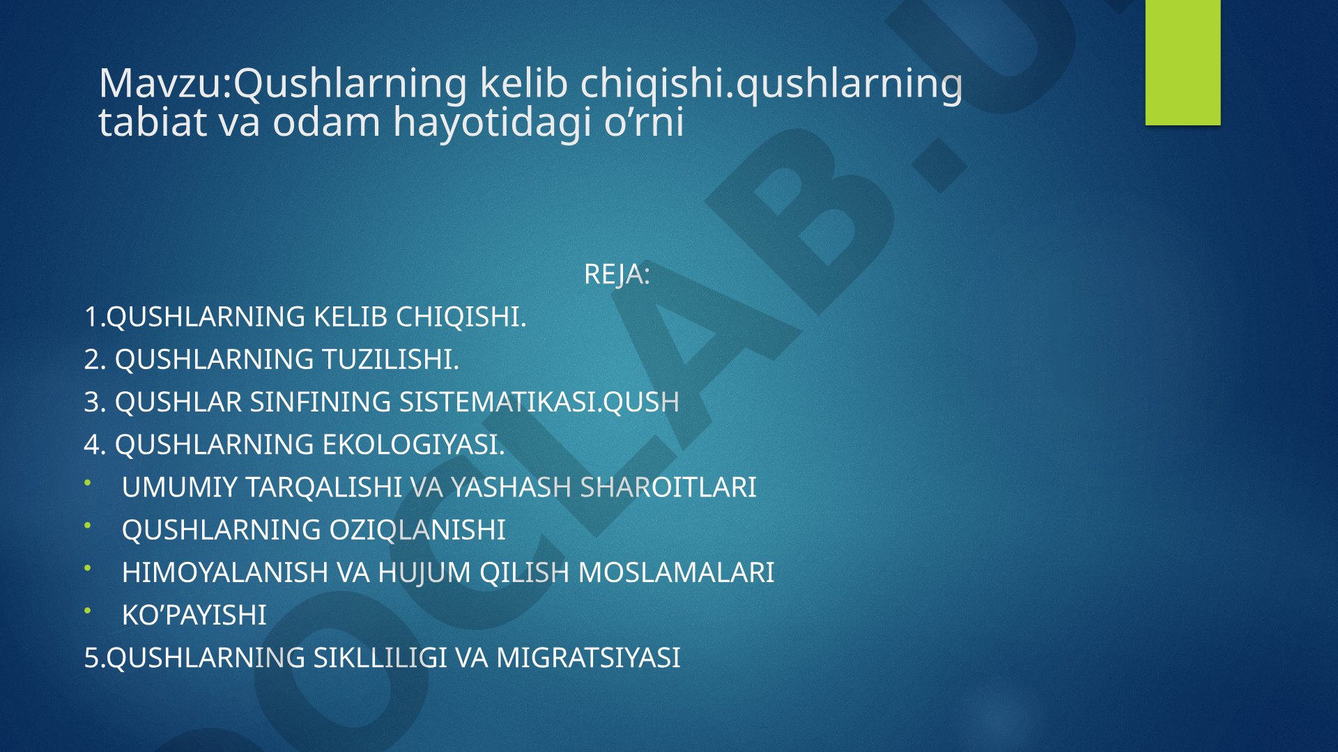 Qushlarning kelib chiqishi, tabiat va odam hayotidagi o'rni