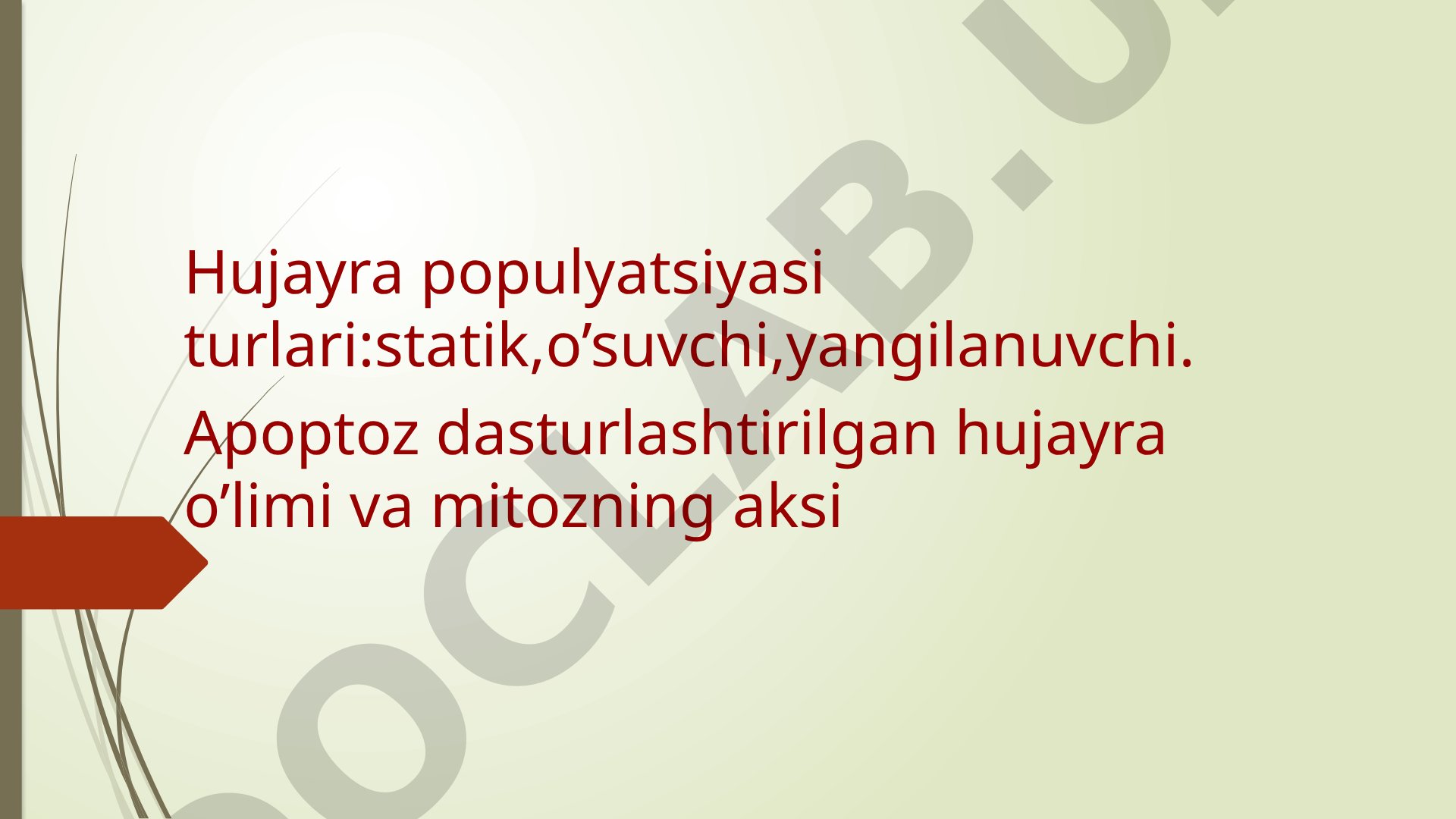 Hujayra populyatsiyasi turlari: statik, o'suvchi, yangilanuvchi