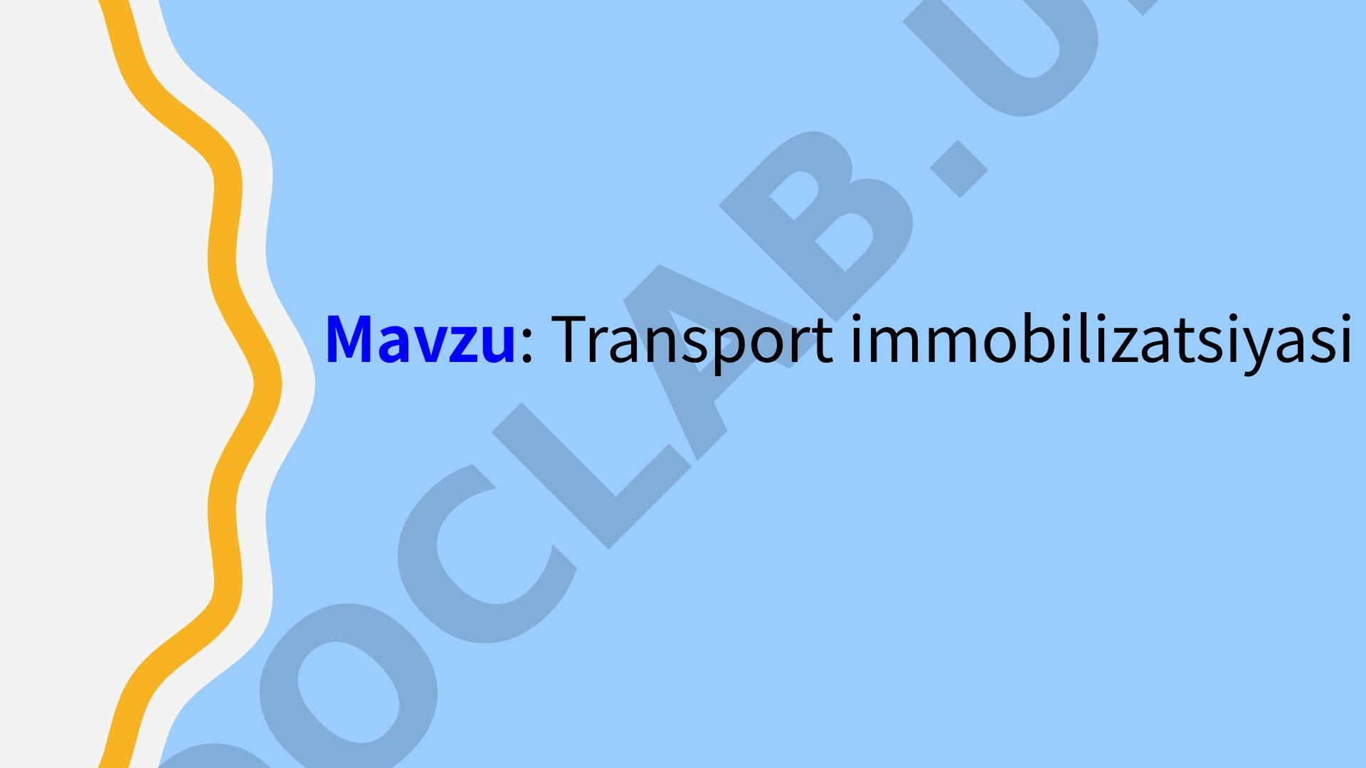 Transport immobilizatsiyasi
