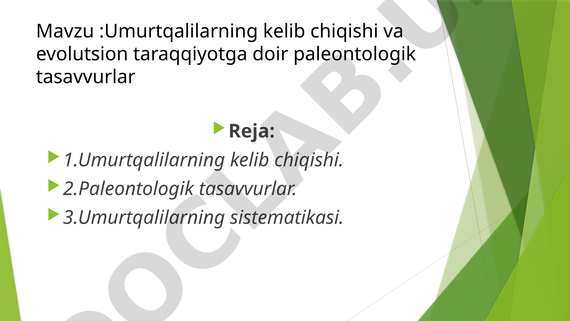 Umurtqalilarning kelib chiqishi va evolutsion taraqqiyotga doir paleontologik tasavvurlar