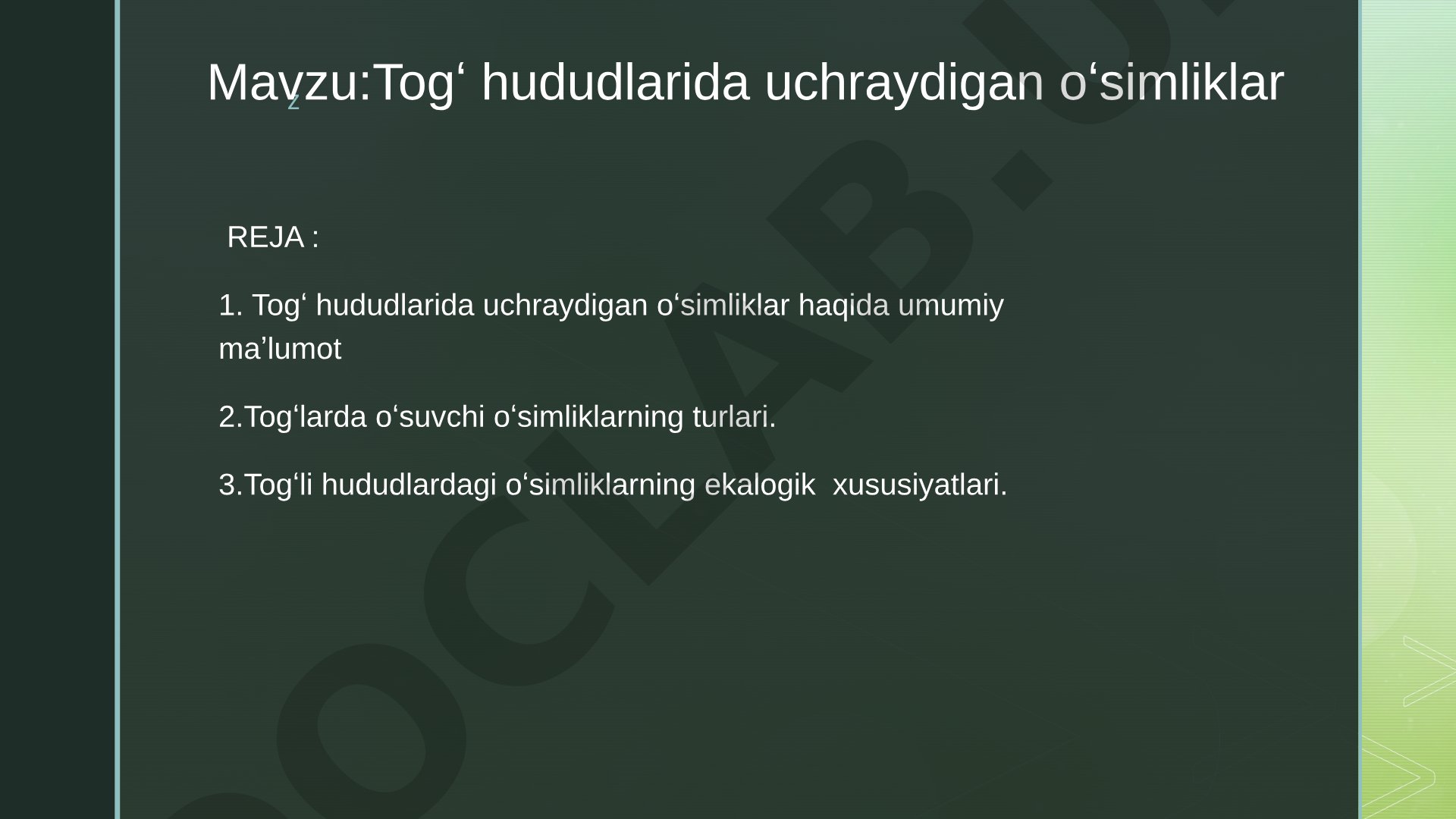 Togʻ hududlarida uchraydigan oʻsimliklar