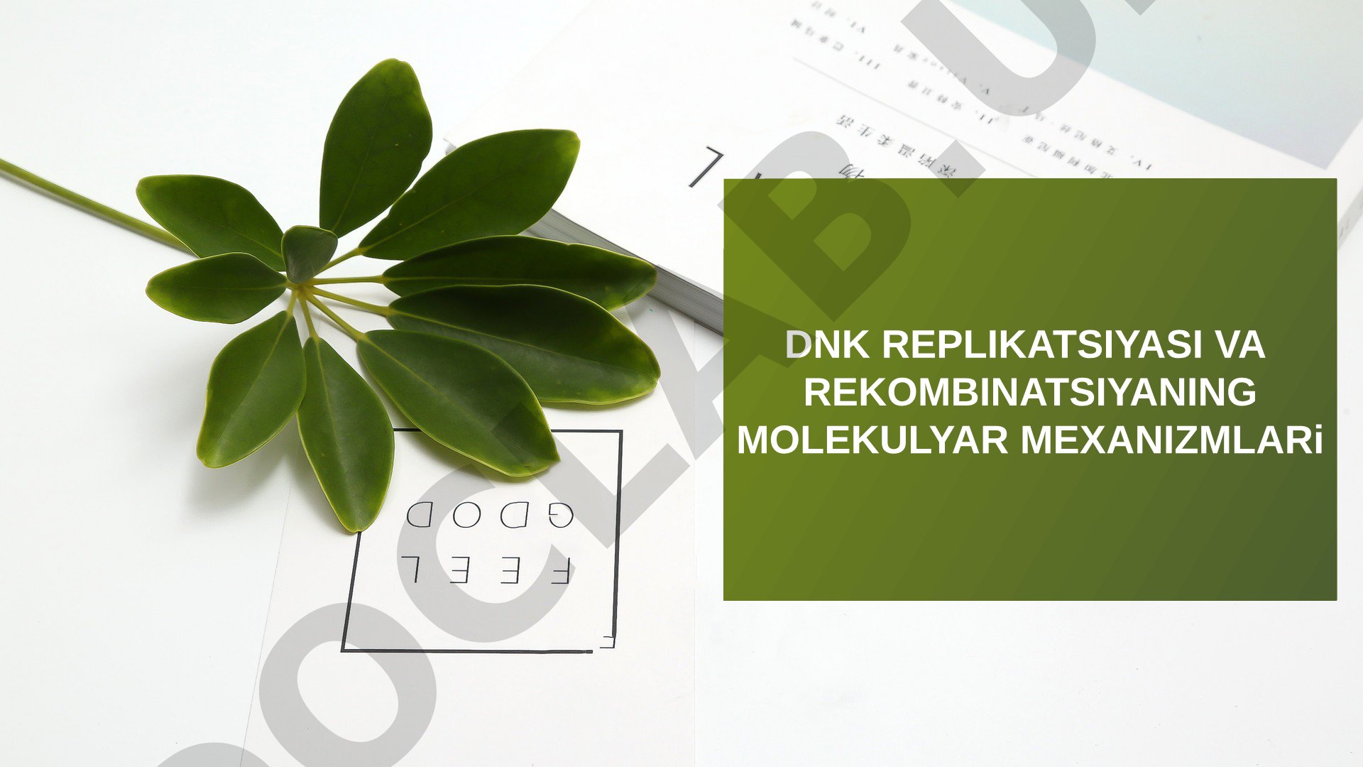 DNK replikatsiyasi va rekombinatsiyasining molekulyar mexanizmlari