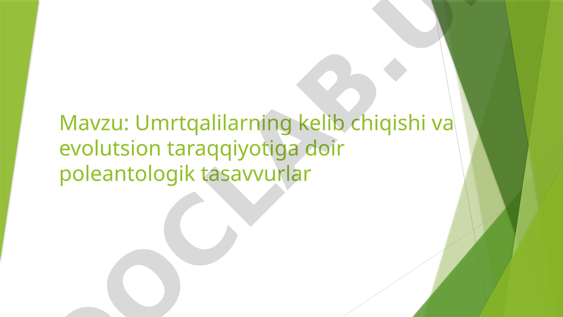 Umurtqalilarning kelib chiqishi va evolutsion taraqqiyotiga doir paleontologik tasavvurlar