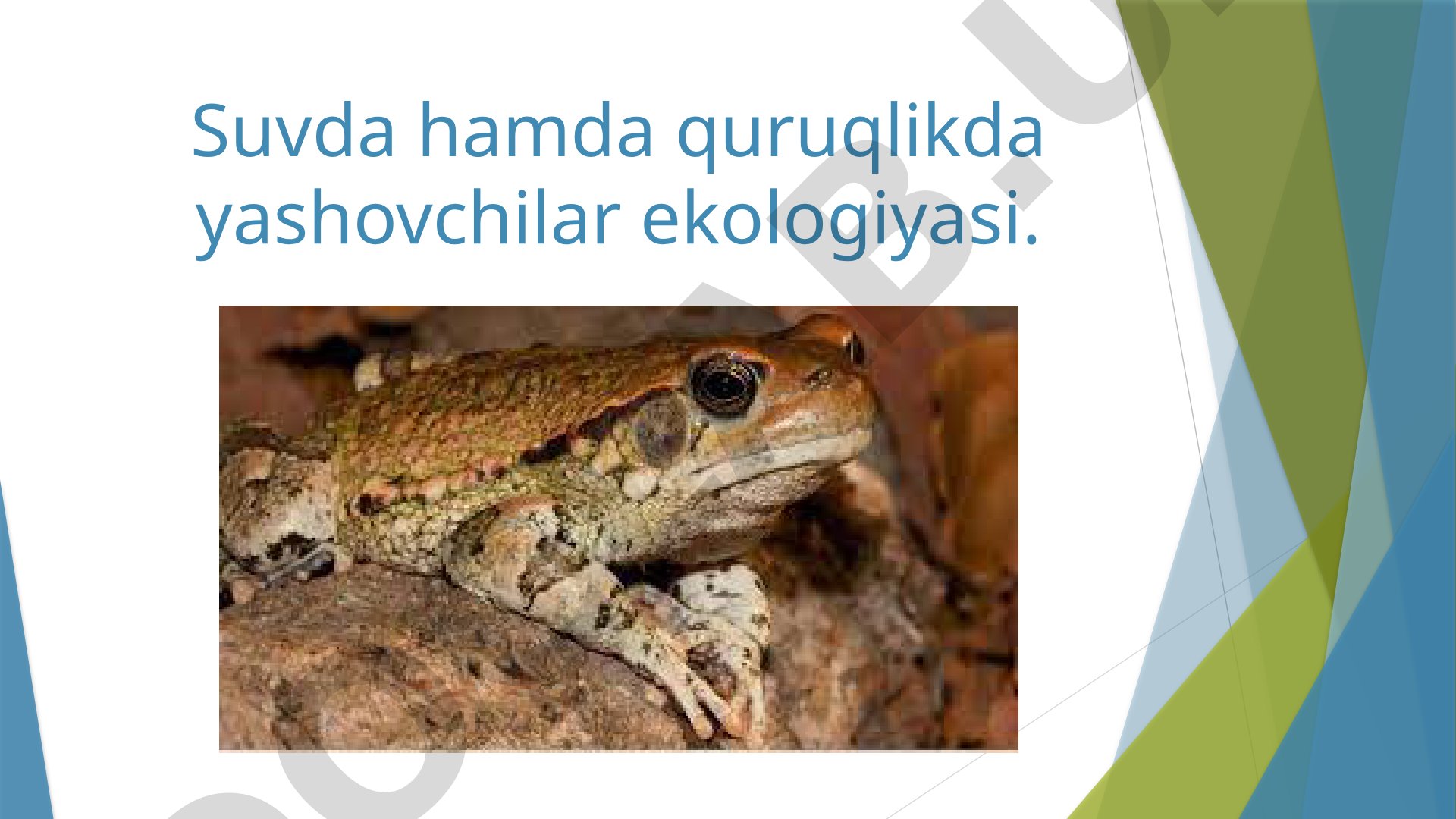 Suvda hamda quruqlikda yashovchilar ekologiyasi