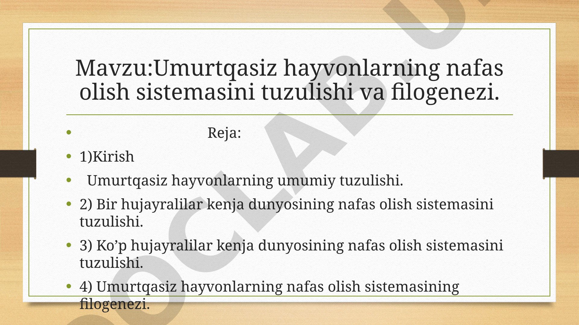 Umurtqasiz hayvonlarning nafas olish sistemasini tuzulishi va filogenezi
