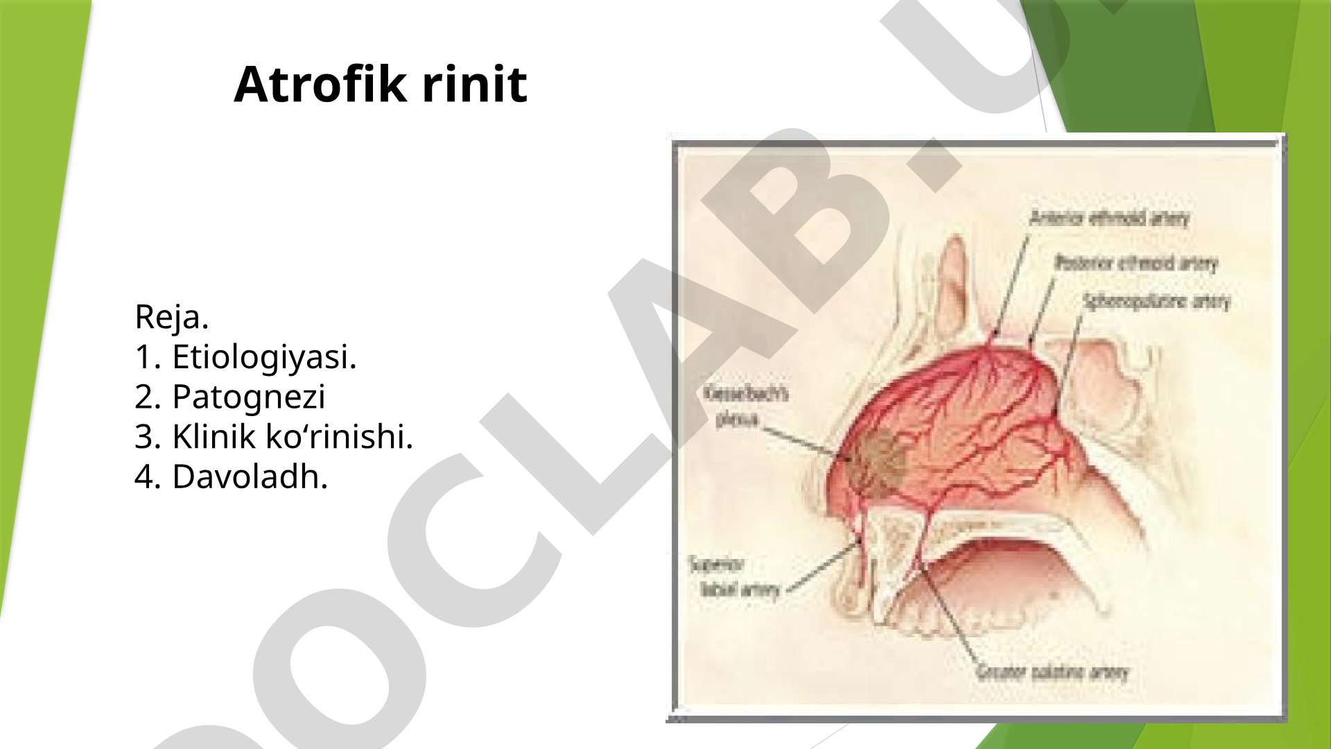 Atrofik rinit: etiologiyasi, patogenezi, klinik ko'rinishi, davolash