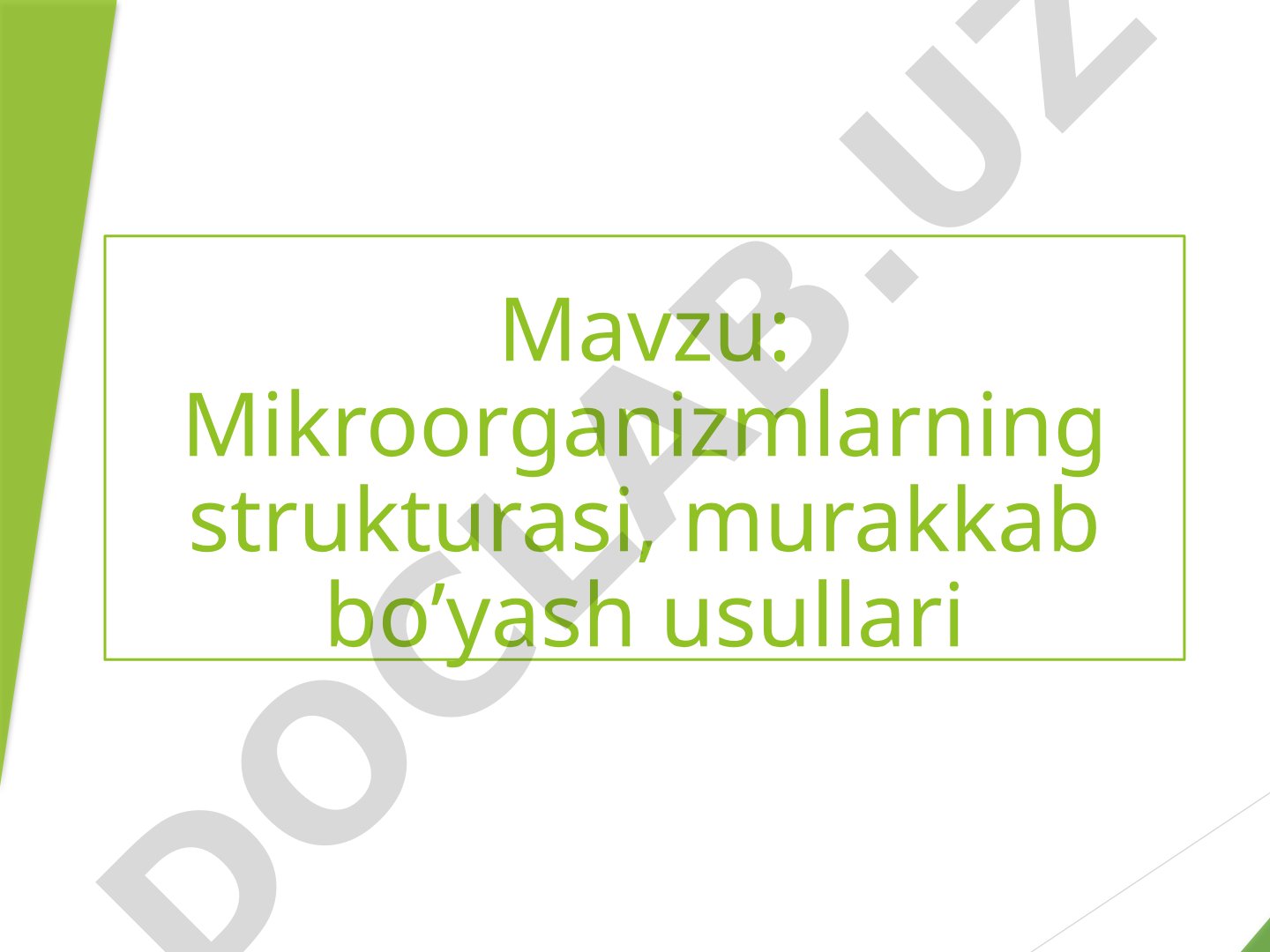 Mikroorganizmlarning strukturasi, murakkab bo'yash usullari