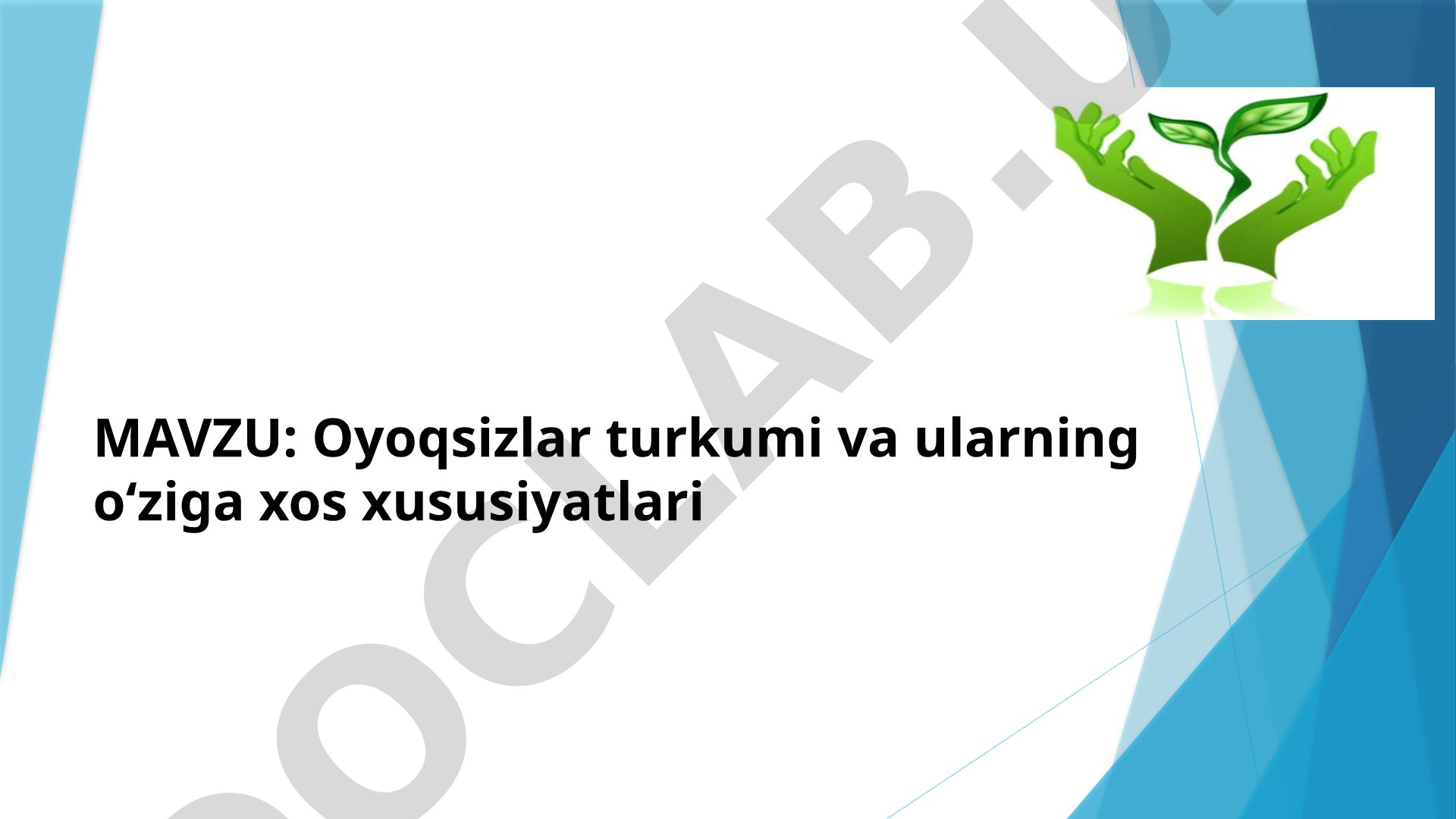 Oyoqsizlar turkumi va ularning o‘ziga xos xususiyatlari